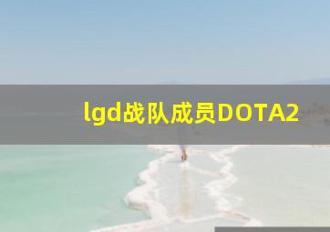 lgd战队成员DOTA2