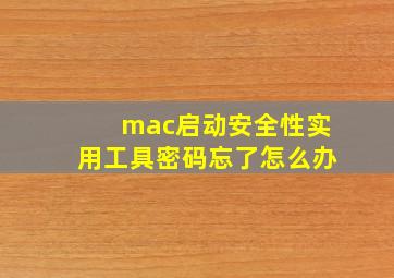 mac启动安全性实用工具密码忘了怎么办