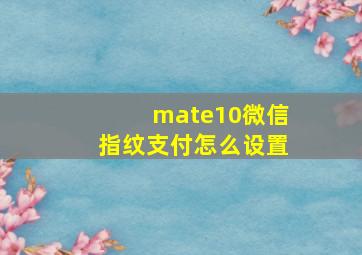 mate10微信指纹支付怎么设置