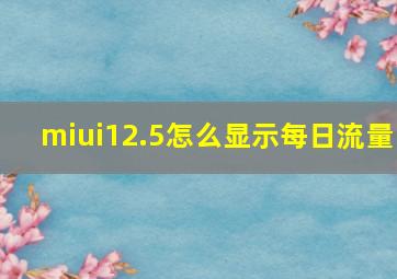 miui12.5怎么显示每日流量