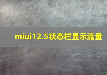 miui12.5状态栏显示流量