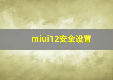 miui12安全设置