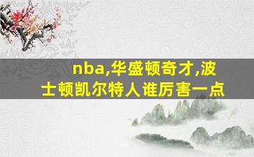 nba,华盛顿奇才,波士顿凯尔特人谁厉害一点