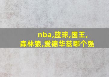 nba,篮球,国王,森林狼,爱德华兹哪个强