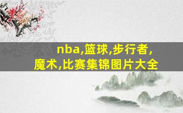 nba,篮球,步行者,魔术,比赛集锦图片大全