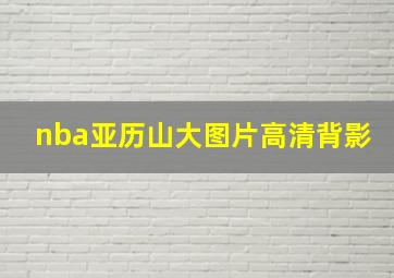 nba亚历山大图片高清背影