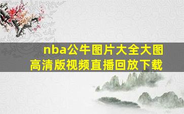 nba公牛图片大全大图高清版视频直播回放下载