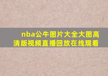 nba公牛图片大全大图高清版视频直播回放在线观看