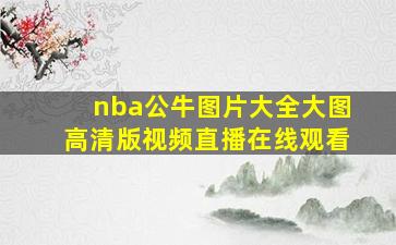 nba公牛图片大全大图高清版视频直播在线观看