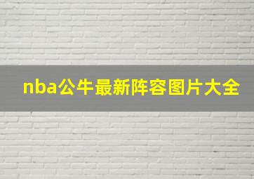 nba公牛最新阵容图片大全