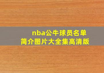 nba公牛球员名单简介图片大全集高清版