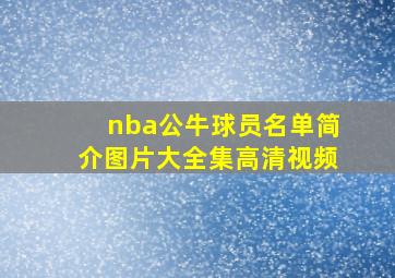 nba公牛球员名单简介图片大全集高清视频