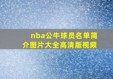 nba公牛球员名单简介图片大全高清版视频