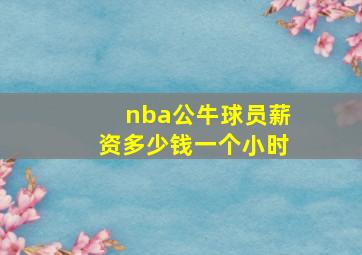 nba公牛球员薪资多少钱一个小时