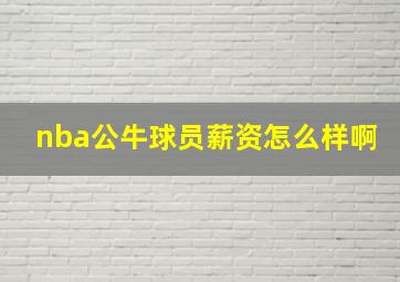 nba公牛球员薪资怎么样啊