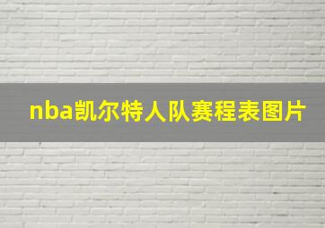 nba凯尔特人队赛程表图片