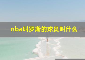 nba叫罗斯的球员叫什么