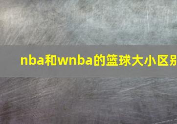 nba和wnba的篮球大小区别