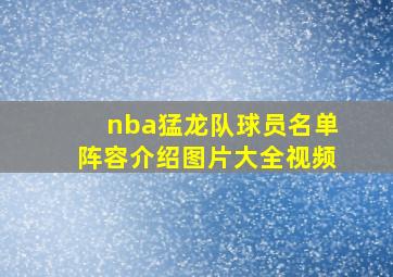 nba猛龙队球员名单阵容介绍图片大全视频