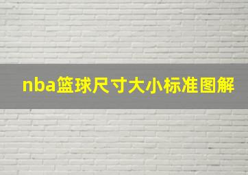 nba篮球尺寸大小标准图解