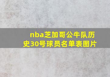 nba芝加哥公牛队历史30号球员名单表图片