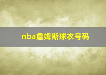 nba詹姆斯球衣号码