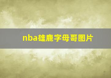 nba雄鹿字母哥图片