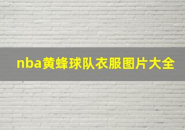 nba黄蜂球队衣服图片大全