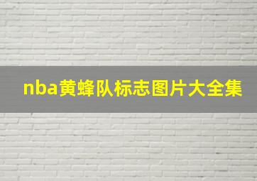 nba黄蜂队标志图片大全集