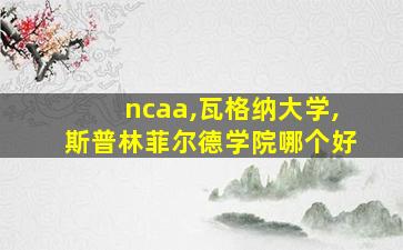 ncaa,瓦格纳大学,斯普林菲尔德学院哪个好