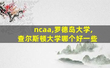 ncaa,罗德岛大学,查尔斯顿大学哪个好一些