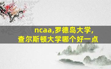 ncaa,罗德岛大学,查尔斯顿大学哪个好一点