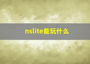 nslite能玩什么