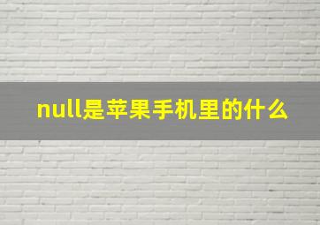 null是苹果手机里的什么