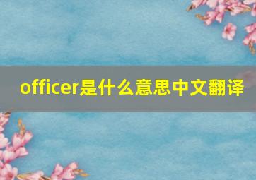 officer是什么意思中文翻译