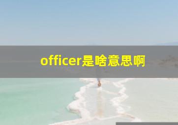 officer是啥意思啊