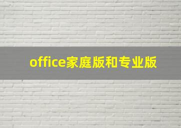 office家庭版和专业版