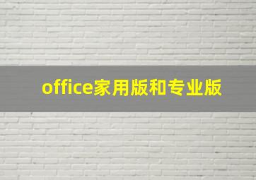 office家用版和专业版