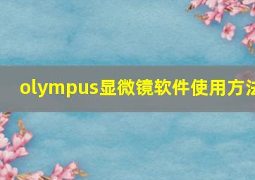 olympus显微镜软件使用方法