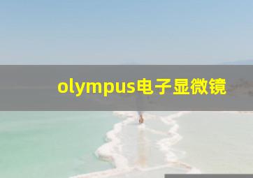 olympus电子显微镜