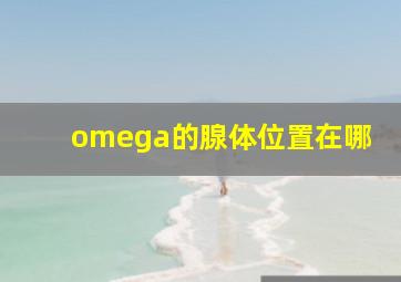 omega的腺体位置在哪