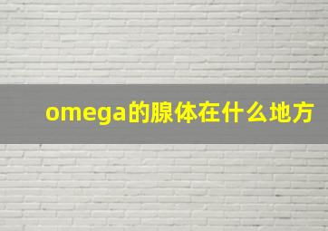 omega的腺体在什么地方