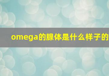 omega的腺体是什么样子的