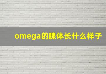 omega的腺体长什么样子