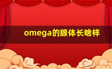 omega的腺体长啥样