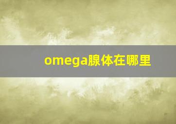 omega腺体在哪里