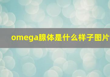 omega腺体是什么样子图片