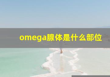 omega腺体是什么部位