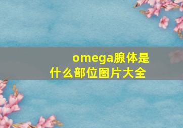 omega腺体是什么部位图片大全