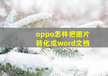 oppo怎样把图片转化成word文档